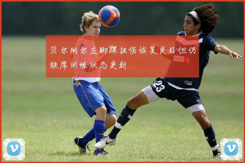 贝尔纳尔左脚踝扭伤恢复良好但仍缺席训练状态更新